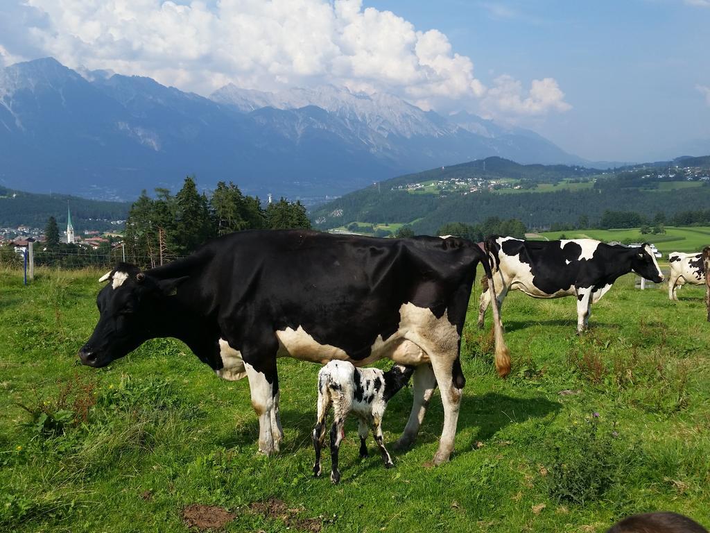 Ferienwohnung Stillerhof Innsbruck Quarto foto
